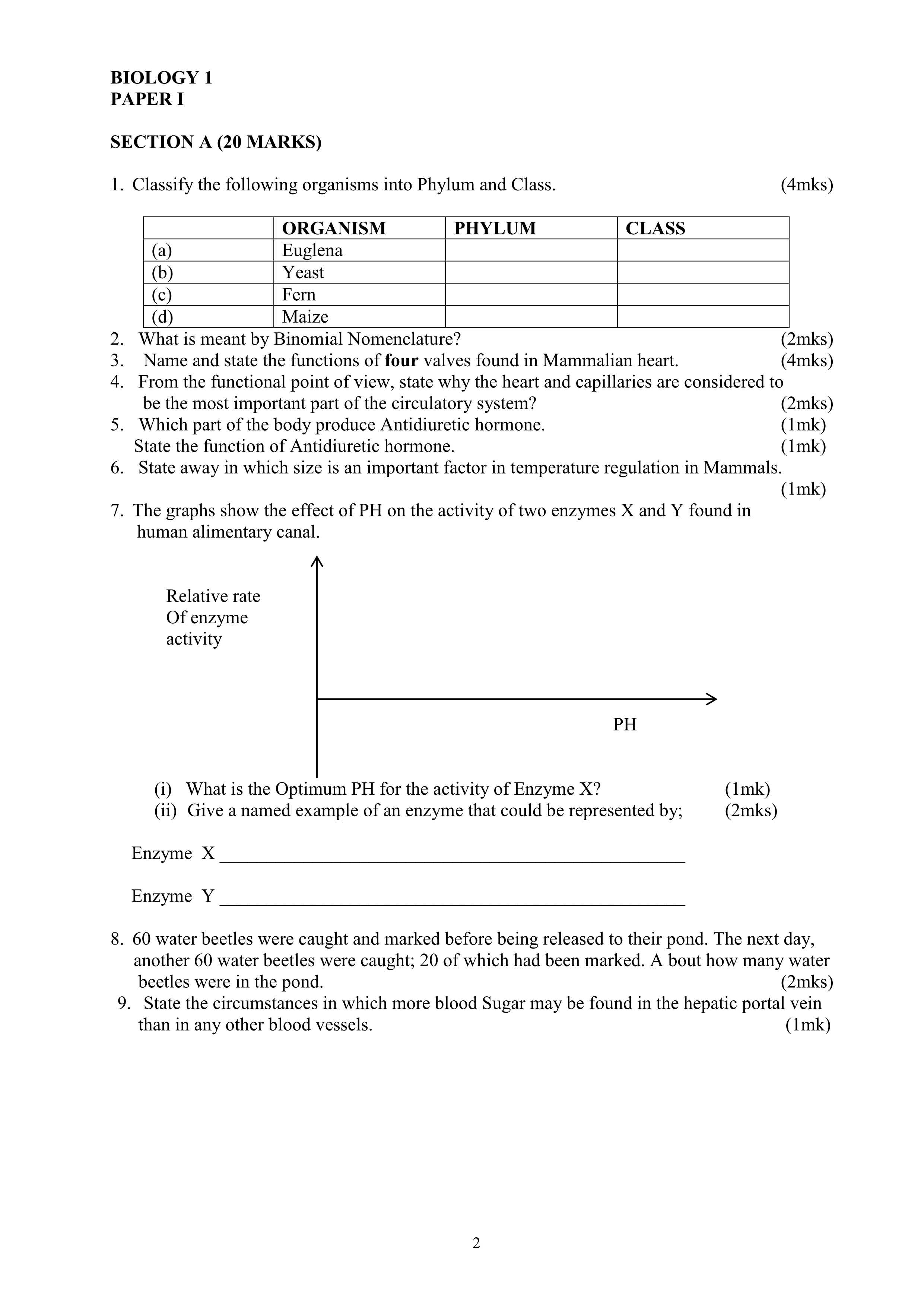 No preview available